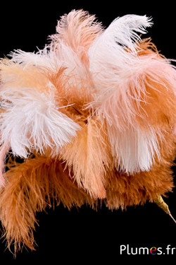 Pluim struisvogel - 24 veren - crème-honing champagne-zalmroze-cognac